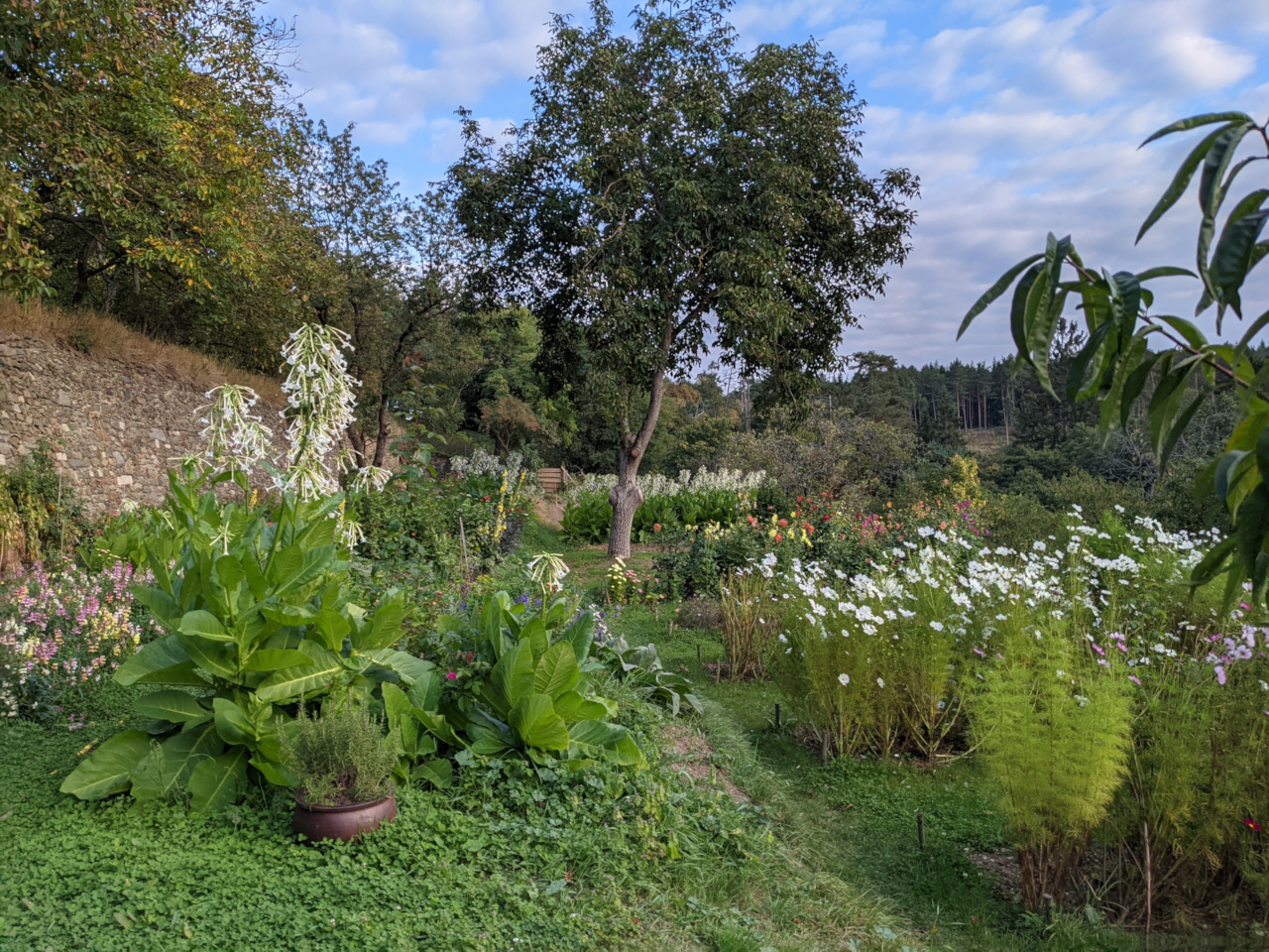 Herbstansicht des Gartens